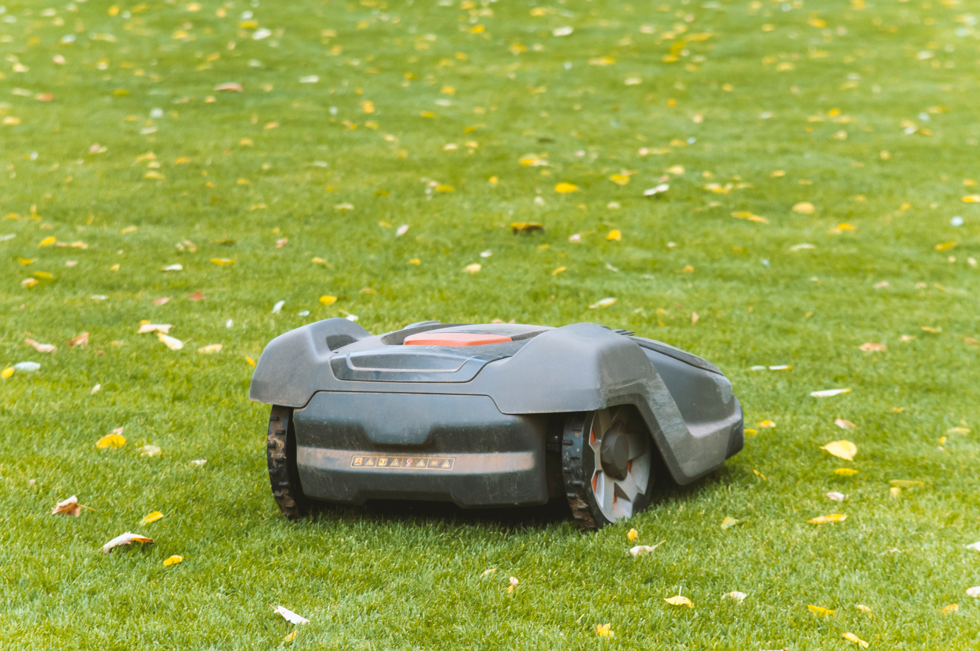 Robotska kosilnica mi je olajšala veliko dela